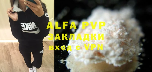 стафф Алзамай