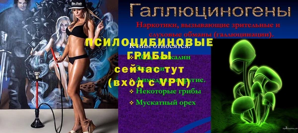 ПСИЛОЦИБИНОВЫЕ ГРИБЫ Абинск